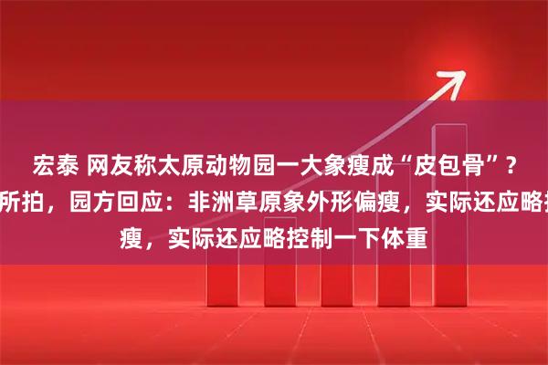 宏泰 网友称太原动物园一大象瘦成“皮包骨”？实为去年8月所拍，园方回应：非洲草原象外形偏瘦，实际还应略控制一下体重