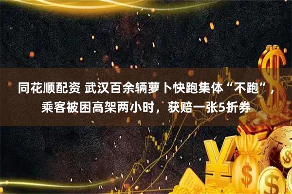 同花顺配资 武汉百余辆萝卜快跑集体“不跑”，乘客被困高架两小时，获赔一张5折券